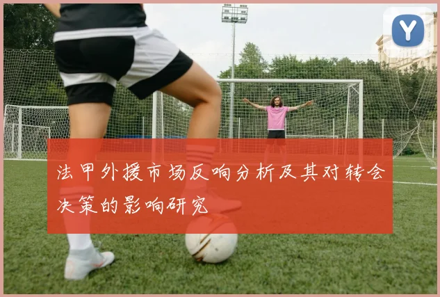 法甲外援市场反响分析及其对转会决策的影响研究