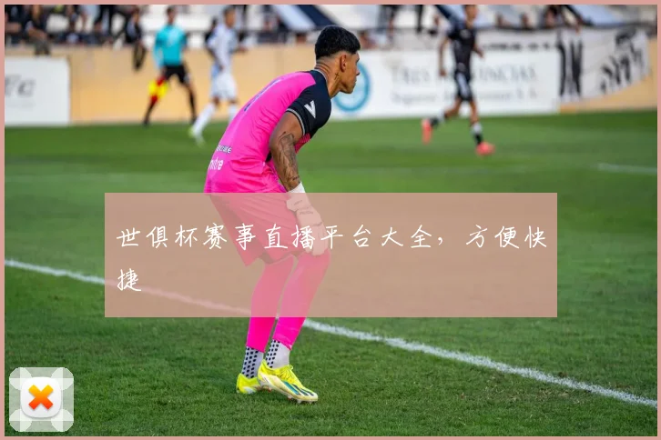 世俱杯赛事直播平台大全，方便快捷