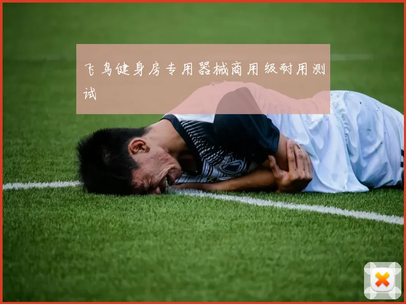 飞鸟健身房专用器械商用级耐用测试
