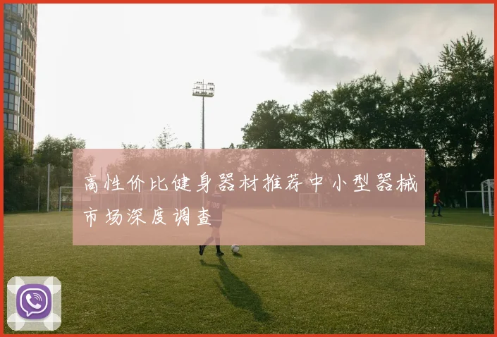 高性价比健身器材推荐中小型器械市场深度调查