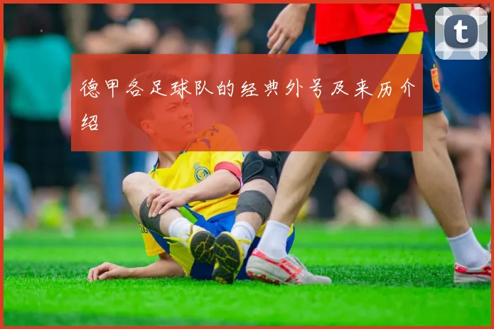 德甲各足球队的经典外号及来历介绍